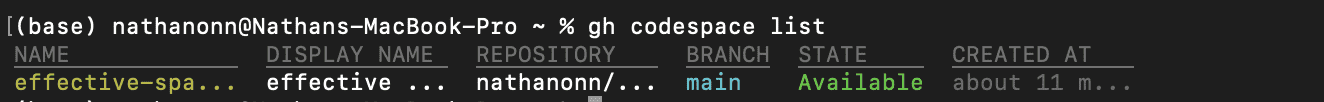 MacBook terminal showing gh codespace list with one Codespace available on the main branch