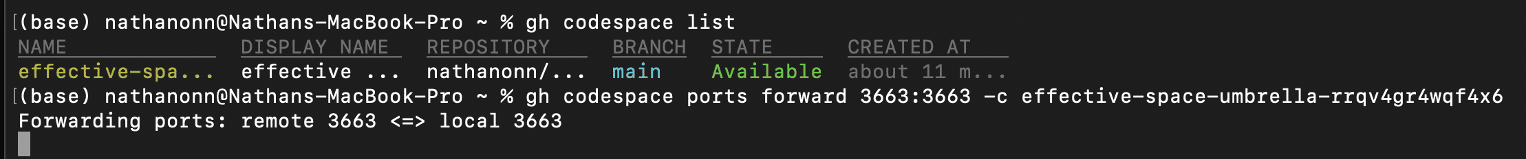 MacBook terminal showing gh codespace ports forward command with output "Forwarding ports: remote 3663 <=> local 3663"