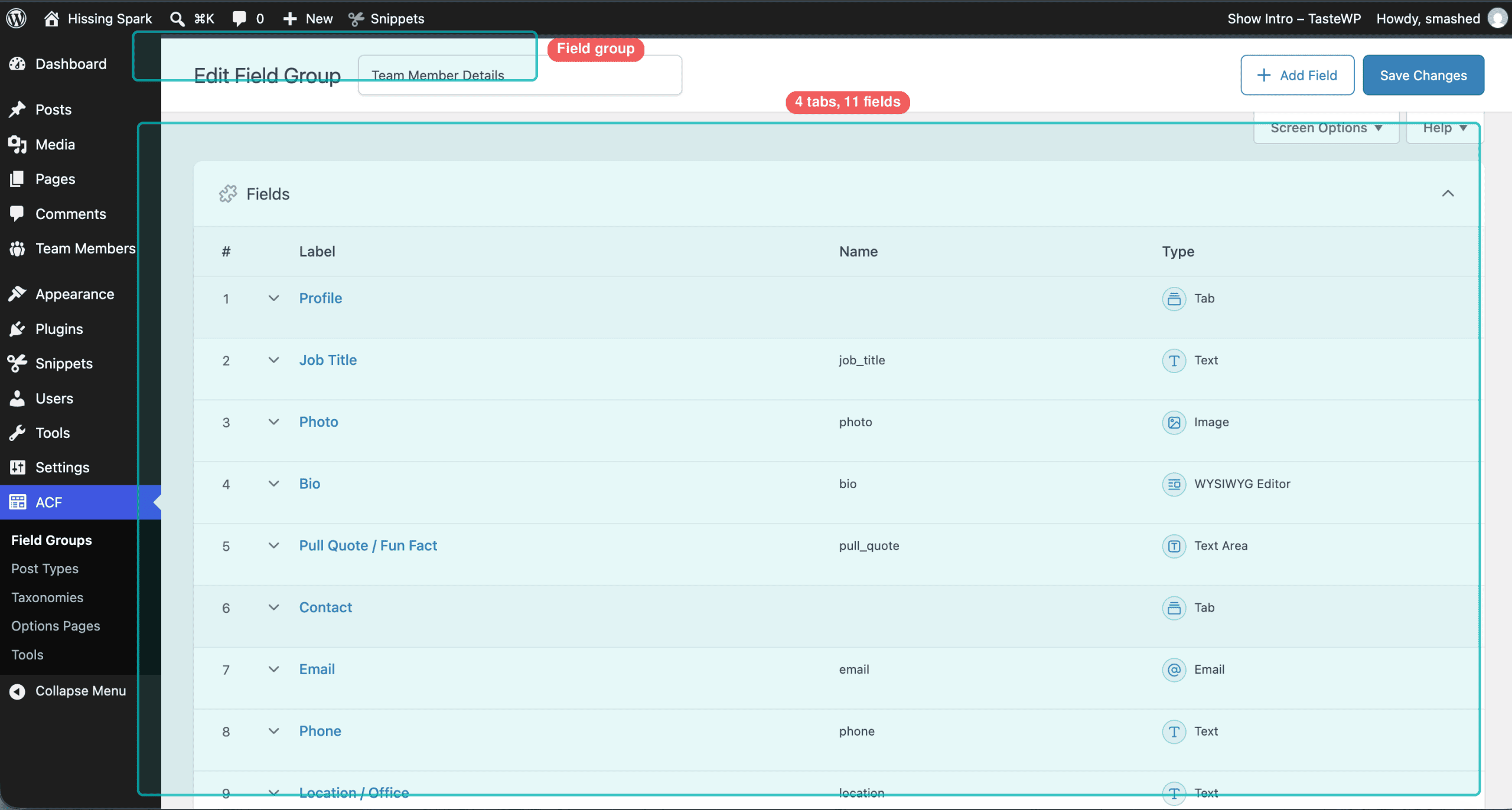 ACF Edit Field Group page titled "Team Member Details" showing the fields table — with "Field group" and "4 tabs, 11 fields" callout labels